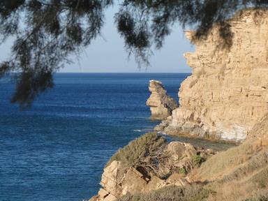 Cliquez pour agrandir l'image