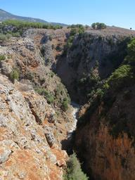 Cliquez pour agrandir l'image