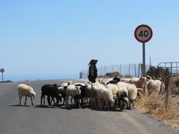 Cliquez pour agrandir l'image