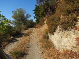 Cliquez pour agrandir l'image