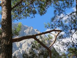 Cliquez pour agrandir l'image