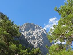 Cliquez pour agrandir l'image