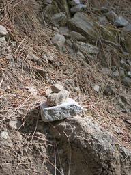 Cliquez pour agrandir l'image