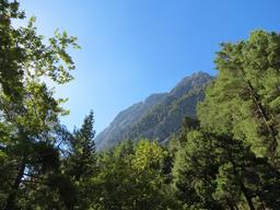 Cliquez pour agrandir l'image