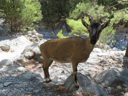 Cliquez pour agrandir l'image