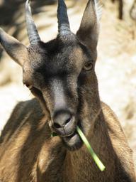 Cliquez pour agrandir l'image