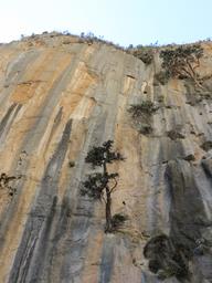 Cliquez pour agrandir l'image