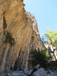 Cliquez pour agrandir l'image