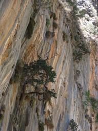 Cliquez pour agrandir l'image