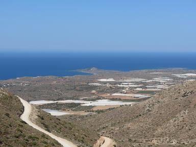 Cliquez pour agrandir l'image