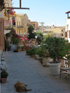 Cliquez pour agrandir l'image