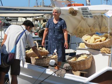 Cliquez pour agrandir l'image