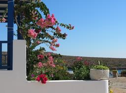 Cliquez pour agrandir l'image