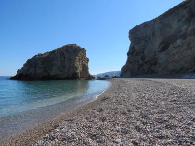 Cliquez pour agrandir l'image