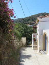 Cliquez pour agrandir l'image