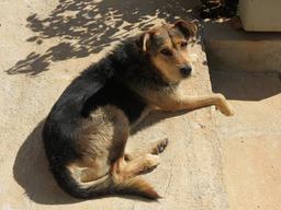 Cliquez pour agrandir l'image