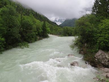 Cliquez pour agrandir l'image