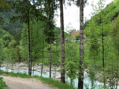 Cliquez pour agrandir l'image