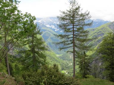 Cliquez pour agrandir l'image