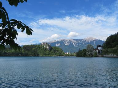 Cliquez pour agrandir l'image