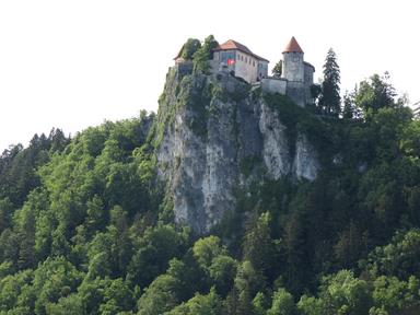 Cliquez pour agrandir l'image