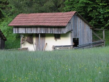 Cliquez pour agrandir l'image