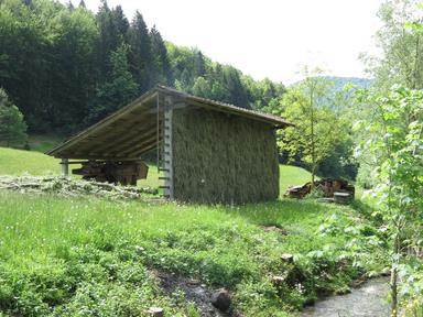 Cliquez pour agrandir l'image