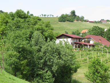 Cliquez pour agrandir l'image