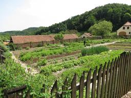 Cliquez pour agrandir l'image