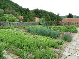 Cliquez pour agrandir l'image