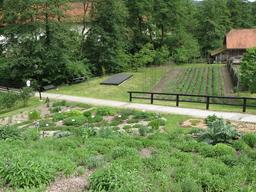 Cliquez pour agrandir l'image