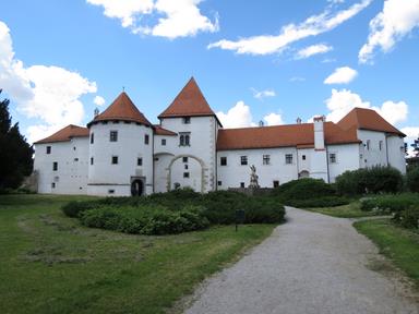 Cliquez pour agrandir l'image