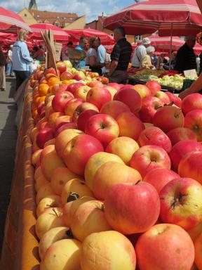 Cliquez pour agrandir l'image