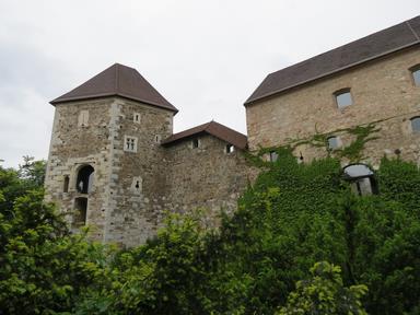 Cliquez pour agrandir l'image