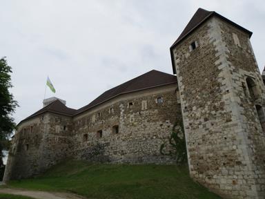 Cliquez pour agrandir l'image