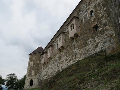 Cliquez pour agrandir l'image