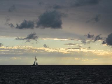 Cliquez pour agrandir l'image