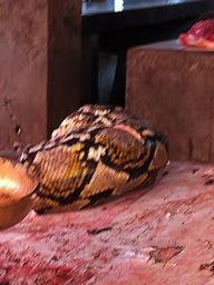 Cliquez pour agrandir l'image