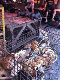 Cliquez pour agrandir l'image