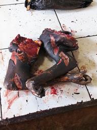 Cliquez pour agrandir l'image