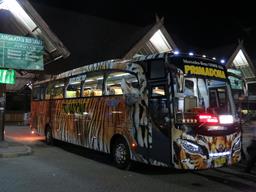 Cliquez pour agrandir l'image