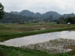 Cliquez pour agrandir l'image