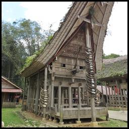 Cliquez pour agrandir l'image