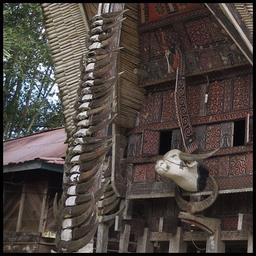 Cliquez pour agrandir l'image