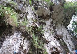 Cliquez pour agrandir l'image