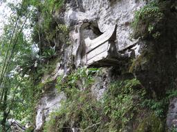 Cliquez pour agrandir l'image