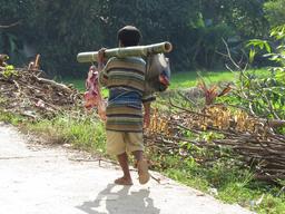 Cliquez pour agrandir l'image