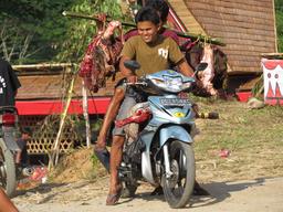 Cliquez pour agrandir l'image