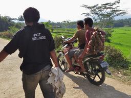 Cliquez pour agrandir l'image