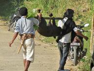 Cliquez pour agrandir l'image